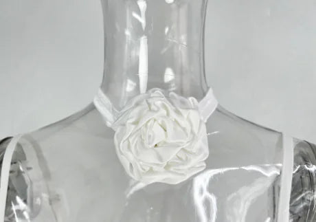 Sling Lace Sheer Slim-fit Sheath Dress